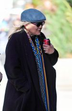 CARRIE FISHER Out and About in New York 11/23/2016