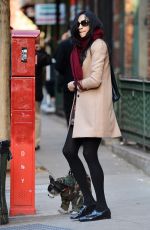 FAMKE JANSSEN Walks Her Dog Out in New York 11/27/2016