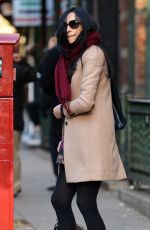 FAMKE JANSSEN Walks Her Dog Out in New York 11/27/2016