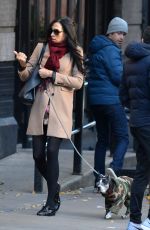 FAMKE JANSSEN Walks Her Dog Out in New York 11/27/2016