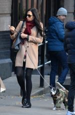 FAMKE JANSSEN Walks Her Dog Out in New York 11/27/2016