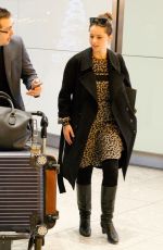 FELICITY JONES at LAX Airport in Los Angeles 11/24/2016