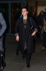 FELICITY JONES at LAX Airport in Los Angeles 11/24/2016