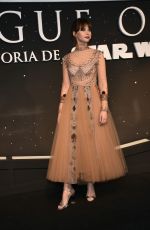 FELICITY JONES at Rogue One: A Star Wars Story Fan Event in Mexico City 11/22/2016