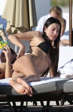 GIORGIA GABRIELE in Bikini on the Beach in Miami 11/20/2016