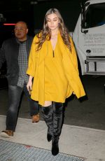 HAILEE STEINFELD Arrives at Her Hotel in New York 11/17/2016