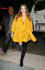HAILEE STEINFELD Arrives at Her Hotel in New York 11/17/2016