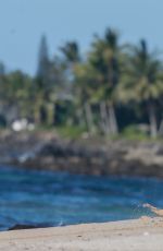 IRELAND BALDWIN in Bikin on the Set of a Photoshoot in Hawaii 11/17/2016