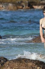 IRELAND BALDWIN in Bikin on the Set of a Photoshoot in Hawaii 11/17/2016
