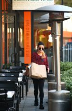LEA MICHELE Out for Lunch in Beverly Hills 11/21/2016