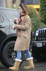 LILY COLLINS Out and About in Los Angeles 11/26/2016