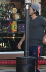 LUCY HALE at Aroma Cafe in Studio City 11/22/2016