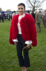 LUCY MECKLENBURGH at Hennessy Gold Cup at Newbury Racecourse 11/26/2016