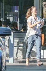 MINKA KELLY Out Shopping in Los Angeles 11/08/2016
