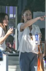 MINKA KELLY Out Shopping in Los Angeles 11/08/2016
