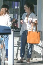 MINKA KELLY Out Shopping in Los Angeles 11/08/2016