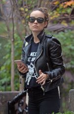 OLIVIA WILDE Out and About in Brooklyn 11/03/2016