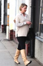 Pregnant KATHERINE HEIGL Out Shopping in Los Angeles 11/20/2016