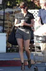 SELMA BLAIR in Shorts Shopping at Bristol Farms in West Hollywood 11/11/2016