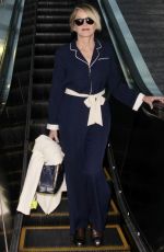 SHARON STONE at Los Angeles International Airport 11/18/2016