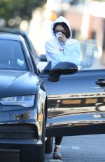 VANESSA HUDGENS Out and About in Los Angeles 11/18/2016