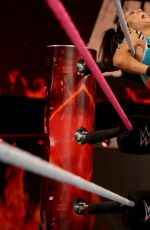 WWE - Hell in a Cell 2016 Digitals