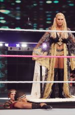 WWE - Hell in a Cell 2016 Digitals