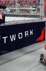 WWE - Hell in a Cell 2016 Digitals