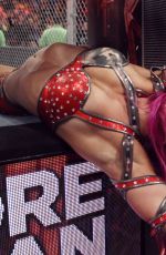 WWE - Hell in a Cell 2016 Digitals