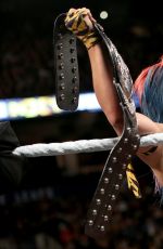 WWE - NXT Takover: Toronto Digitals