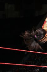 WWE - Raw Digitals 10/31/2016
