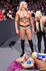 WWE - Raw Digitals 11/14/2016