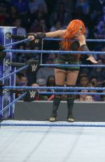 WWE - Smackdown Live! Digitals 11/01/2016