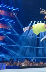WWE - Smackdown Live! Digitals 11/08/2016