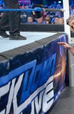 WWE - Smackdown Live! Digitals 11/08/2016