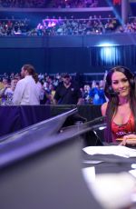 WWE - Smackdown Live! Digitals 11/08/2016