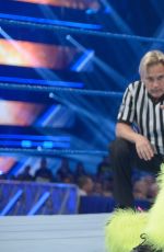 WWE - Smackdown Live! Digitals 11/08/2016