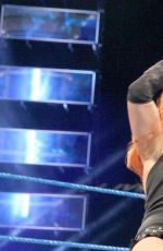 WWE - Smackdown Live! Digitals 11/22/2016