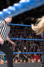 WWE - Smackdown Live! Digitals 11/22/2016