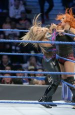 WWE - Smackdown Live! Digitals 11/22/2016