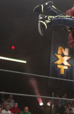 WWE - Superstars Then & Now 2016