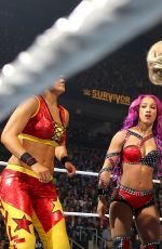 WWE - Survivor Series 2016 Digitals