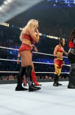 WWE - Survivor Series 2016 Digitals