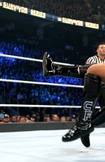 WWE - Survivor Series 2016 Digitals