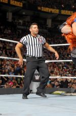 WWE - Survivor Series 2016 Digitals