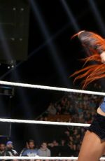 WWE - Survivor Series 2016 Digitals
