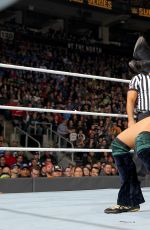 WWE - Survivor Series 2016 Digitals