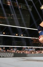 WWE - Survivor Series 2016 Digitals