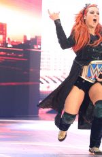 WWE - Survivor Series 2016 Digitals