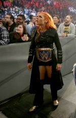 WWE - Survivor Series 2016 Digitals